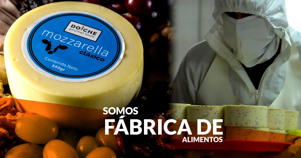 Quesos gourmet de calidad superior