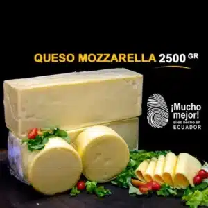 Bloque Mozzarella Clásico 2.5 kg